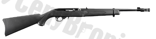 Ruger 10-22 Takedown (11112)